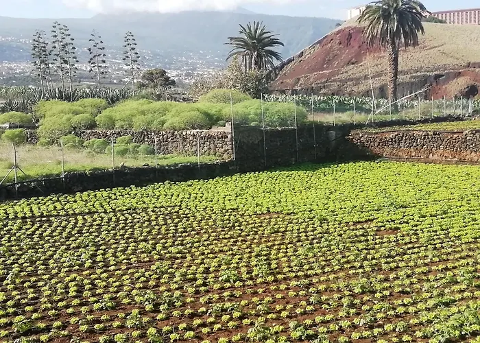 Finca Las Tapias, Casa Mane